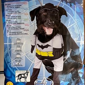 Dog Batman Costume